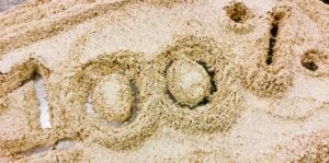 Echte Bakker Frentz - Bakkersgeheimen - Volkorenbrood wat is dat eigenlijk?